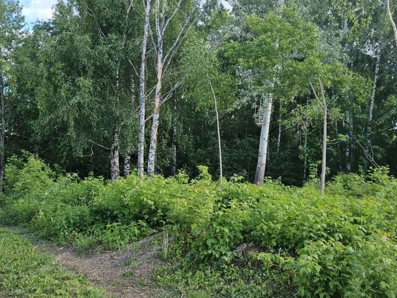 земельный участок под коммерческое использование в Ленинском районе Нижнего Новгорода