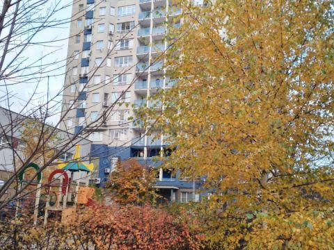 2-komnatnaya-prosp-molodezhnyy-d-33 фото