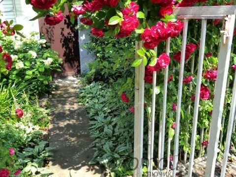 dom-ul-grodnenskaya-d-5 фото