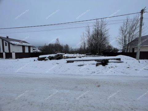 selo-kamenki-bogorodskiy-municipalnyy-okrug фото