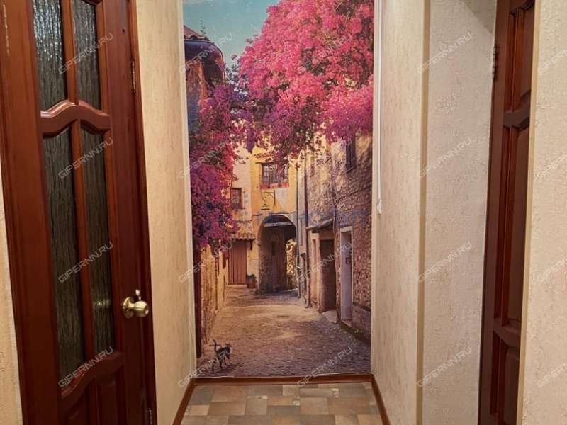 трёхкомнатная квартира на Снежной улице дом 25 к1