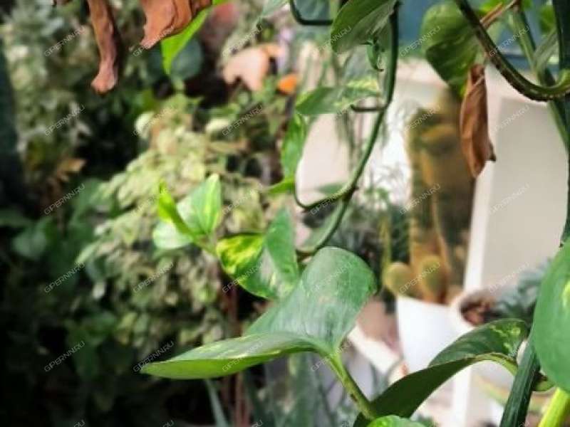 двухкомнатная квартира на Заречном бульваре дом 1