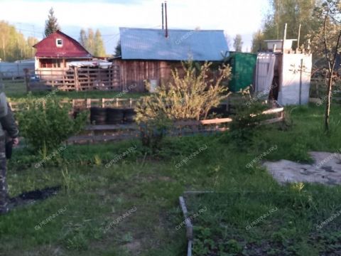 lesnoe-ter-snt-gorodskoy-okrug-dzerzhinsk фото