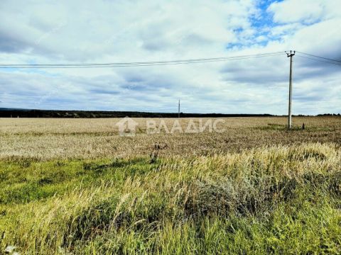 selo-spirino-bogorodskiy-municipalnyy-okrug фото