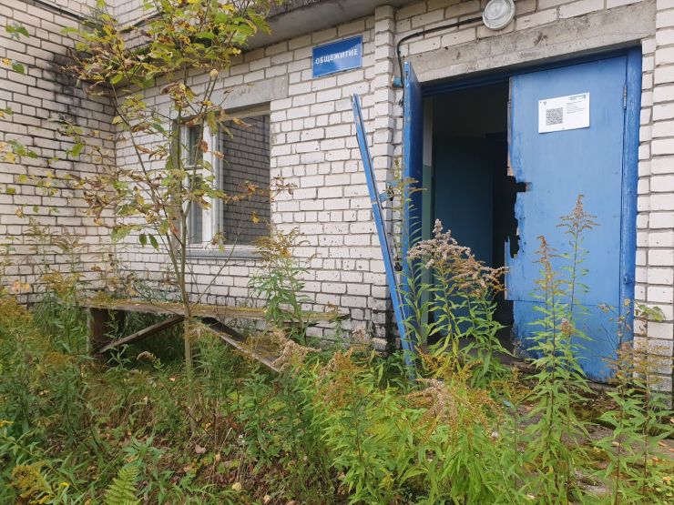 Фото: Ксения Ражева