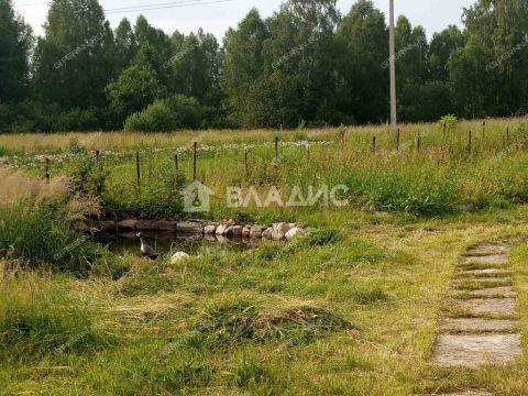 1-2-doma-derevnya-shaldezh-semenovskiy-gorodskoy-okrug фото