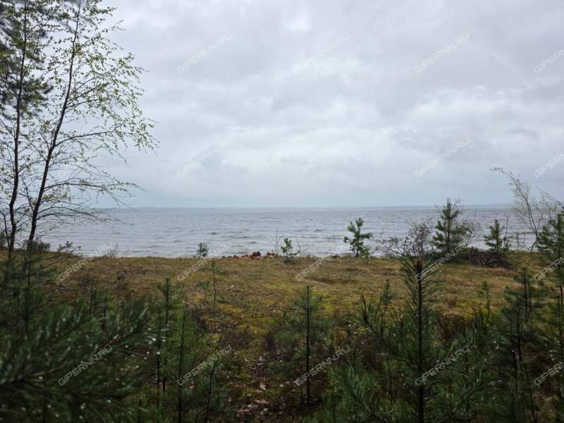 земельный участок под коммерческое использование в городском округе Сокольский Нижегородской области