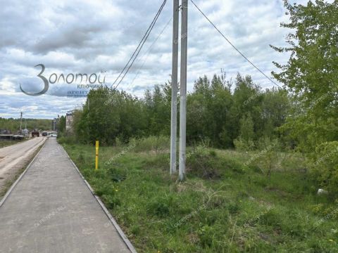 derevnya-demidovo-bogorodskiy-municipalnyy-okrug фото