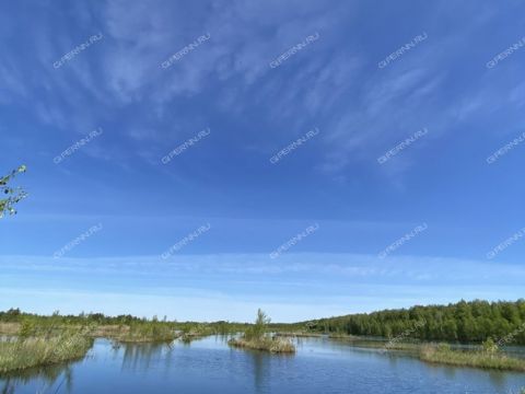 derevnya-ryabinki-gorodskoy-okrug-bor фото