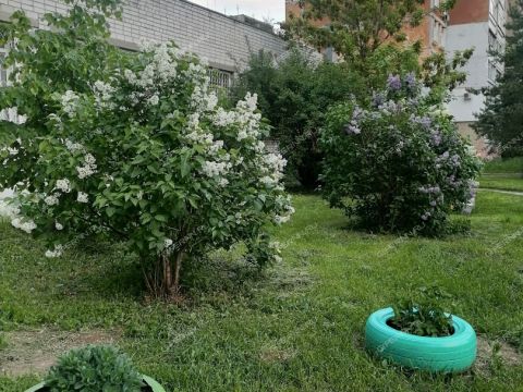 2-komnatnaya-ul-zayceva-d-3 фото