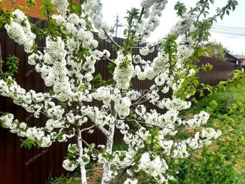 dom-derevnya-cheremisskoe-kstovskiy-rayon фото