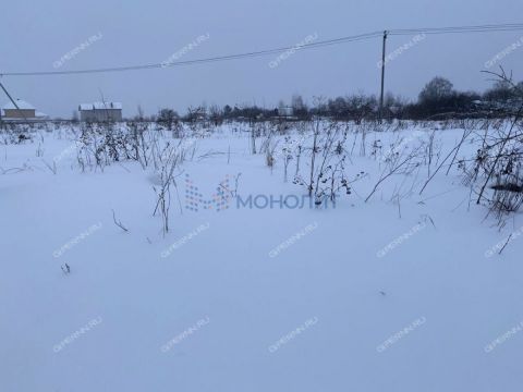 derevnya-shilovo-bogorodskiy-municipalnyy-okrug фото