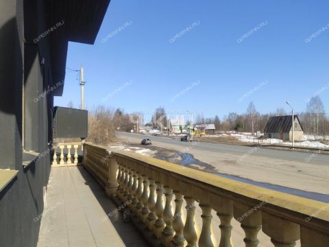 derevnya-maloe-chuhovo-gorodskoy-okrug-chkalovsk фото