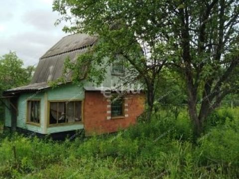 dacha-teplaya-gora-sad фото
