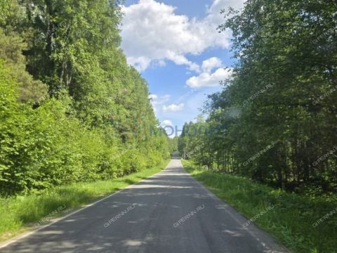 dom-selo-ilino-zaborskoe-semenovskiy-gorodskoy-okrug фото