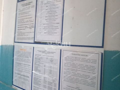 1-komnatnaya-gorod-zavolzhe-gorodeckiy-rayon фото