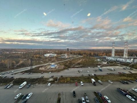 2-komnatnaya-derevnya-ankudinovka-kstovskiy-rayon фото