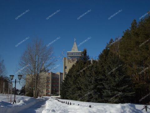 selo-tatinec-kstovskiy-rayon фото