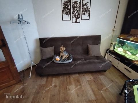 4-komnatnaya-gorod-kstovo-kstovskiy-rayon фото