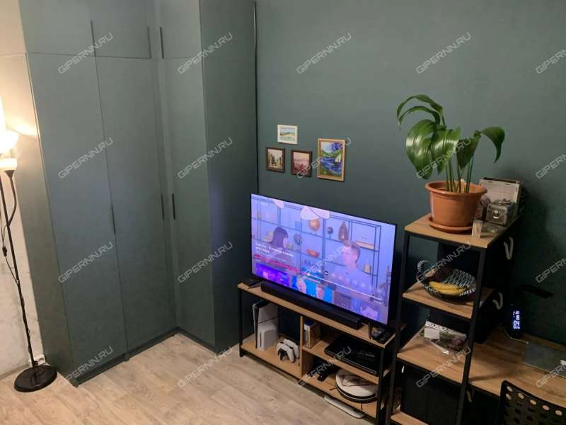 двухкомнатная квартира в переулке Райниса дом 11