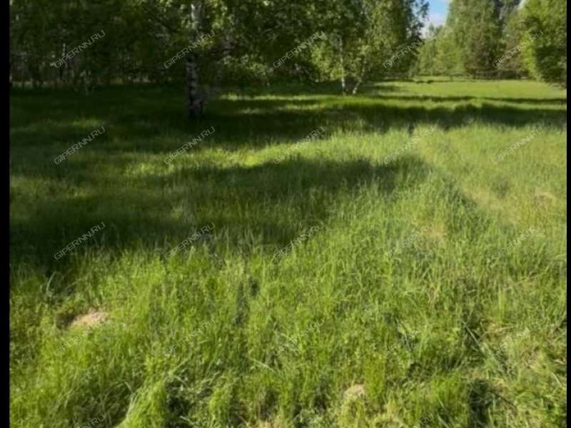 земельный участок 15 соток Заводская улица село Каменка