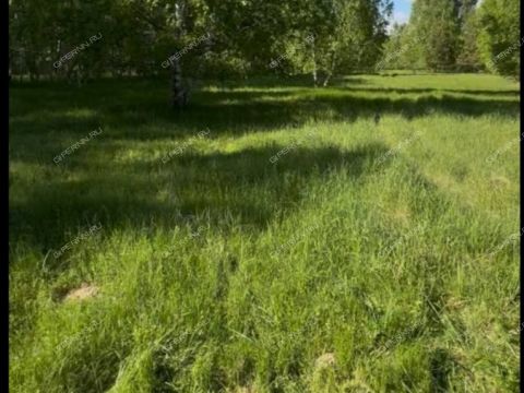 selo-kamenka-vorotynskiy-gorodskoy-okrug фото