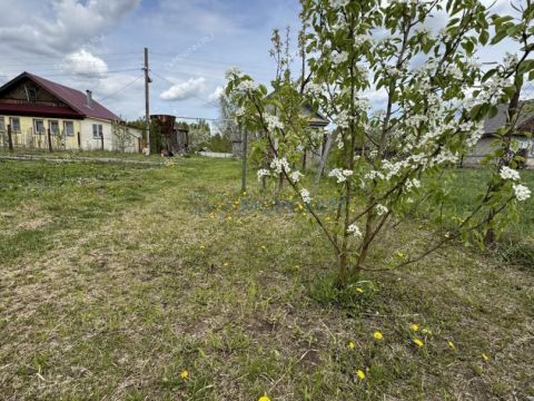 dom-derevnya-sitnikovo-gorodskoy-okrug-bor фото
