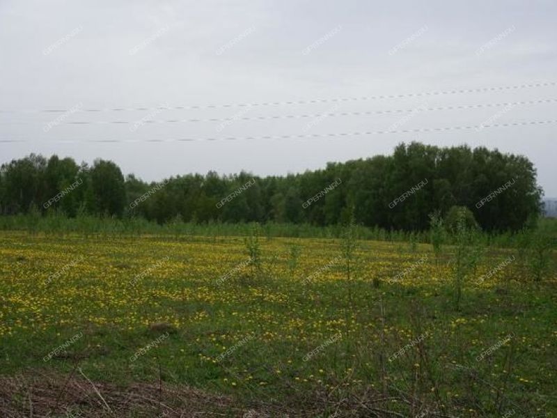 Гремячки нижегородская область. Деревня Шуклино Богородский район. Деревня Гари Нижегородская область Богородский район. Княжье поле Нижегородская область Богородский район. Гремячки Богородский район.