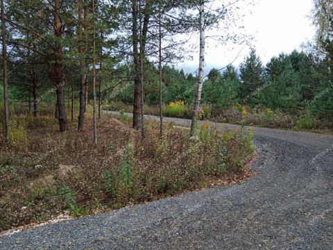 derevnya-ivanovskoe-gorodskoy-okrug-bor фото