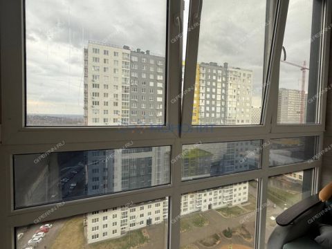 1-komnatnaya-derevnya-ankudinovka-kstovskiy-rayon фото