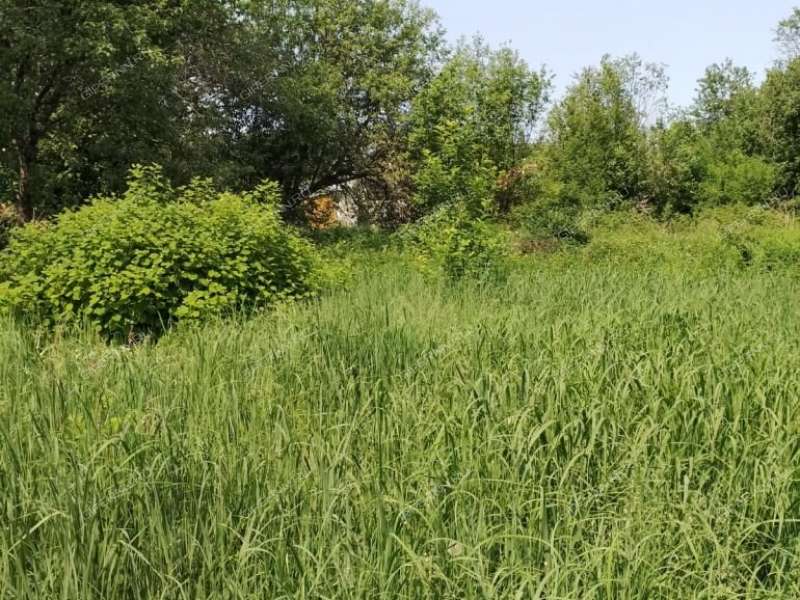 земельный участок 10,5 сотки СНТ Пыра-1 город Балахна