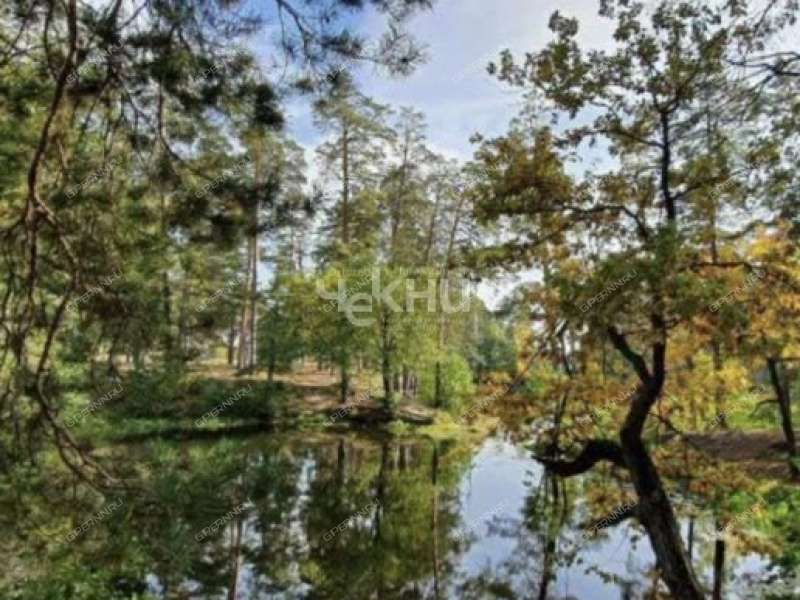 земельный участок 25 соток Центральная улица село Наумовка