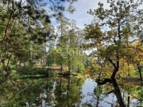 selo-naumovka-gorodskoy-okrug-arzamas фото
