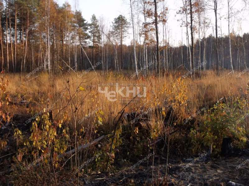 земельный участок 8,8 сотки село Безводное