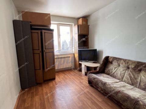 1-komnatnaya-poselok-okskiy-bogorodskiy-municipalnyy-okrug фото