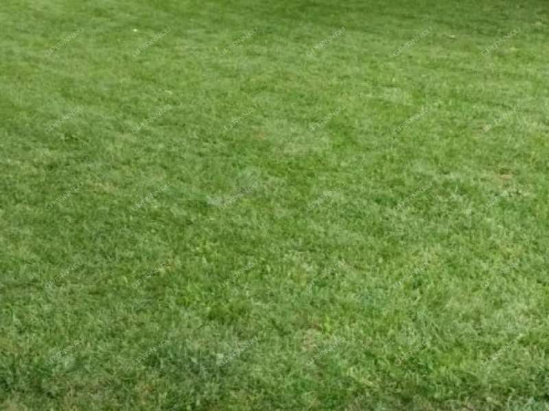 коттедж на Чернышиха село Чернышиха