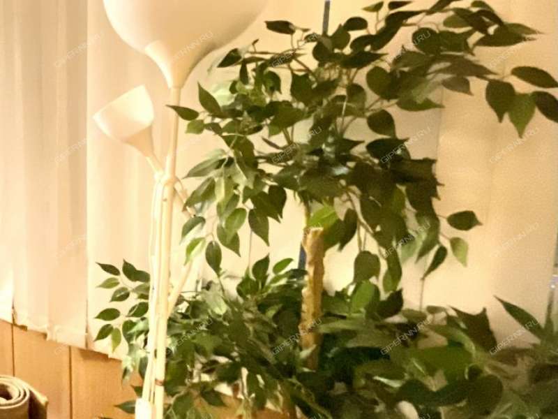 трёхкомнатная квартира на Трудовой улице дом 8