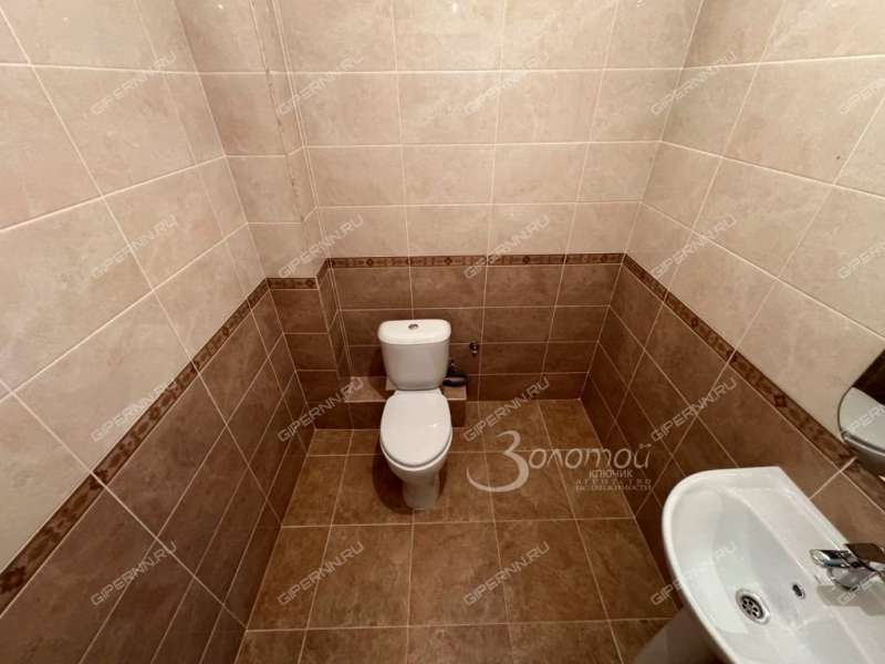 трёхкомнатная квартира на Русской улице улице дом 9 деревня Анкудиновка