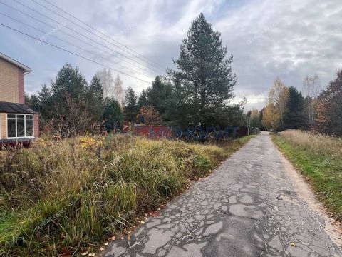 dom-tszh-sosna фото