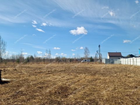 derevnya-krivaya-sheloksha-kstovskiy-rayon фото