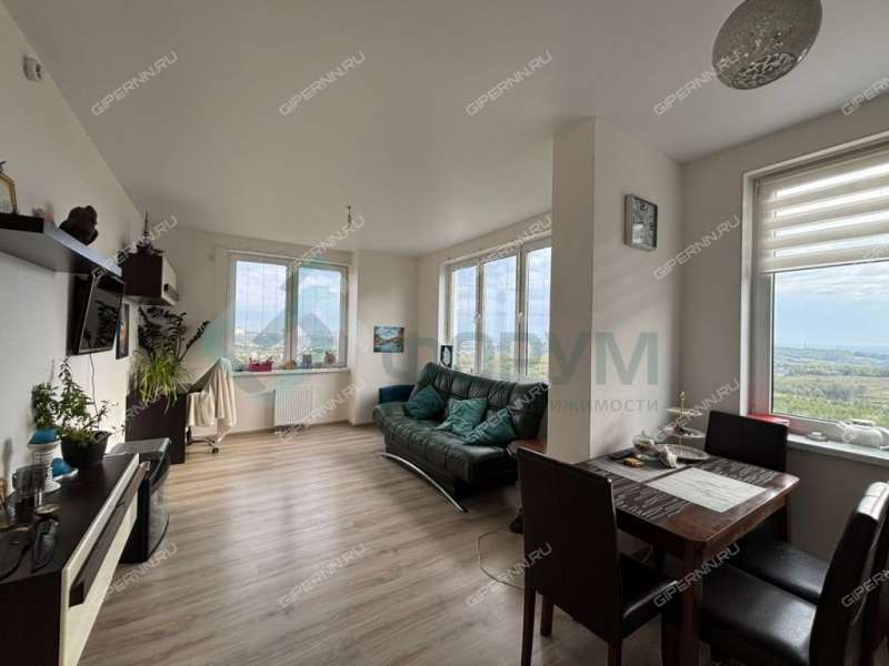 трёхкомнатная квартира на Русской улице улице дом 15 деревня Анкудиновка