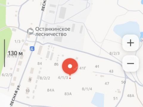 selo-ostankino-gorodskoy-okrug-bor фото