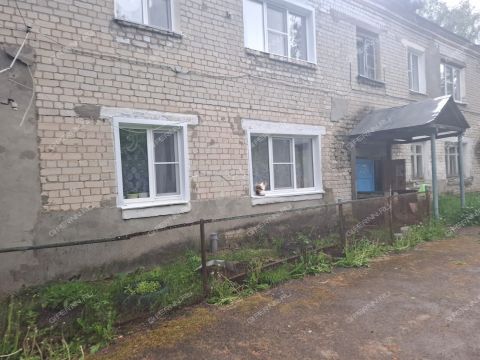 2-komnatnaya-selo-filinskoe-vachskiy-rayon фото