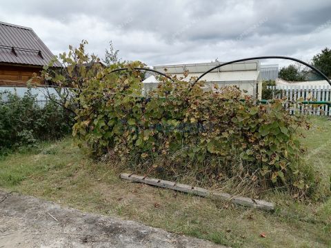 dacha-korabel-rabochiy-poselok-bolshoe-kozino-ter-snt-balahninskiy-municipalnyy-okrug фото