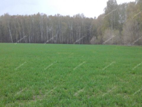 derevnya-nepecino-bogorodskiy-municipalnyy-okrug фото
