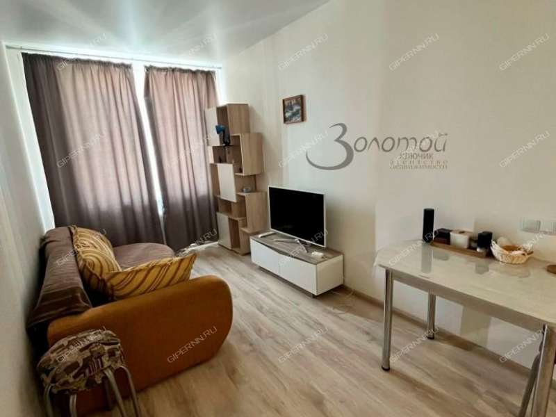 однокомнатная квартира на Русской улице улице дом 19 деревня Анкудиновка