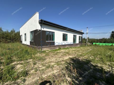dom-derevnya-berezovka-bogorodskiy-municipalnyy-okrug фото