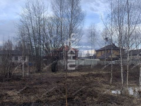 dnp-vozrozhdenie-gorodskoy-okrug-bor фото