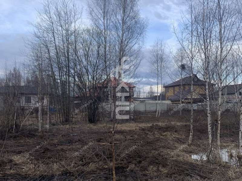 земельный участок 10 соток Ворожейкина ДНП Возрождение