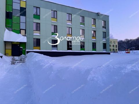 1-komnatnaya-poselok-kultura-kstovskiy-rayon фото